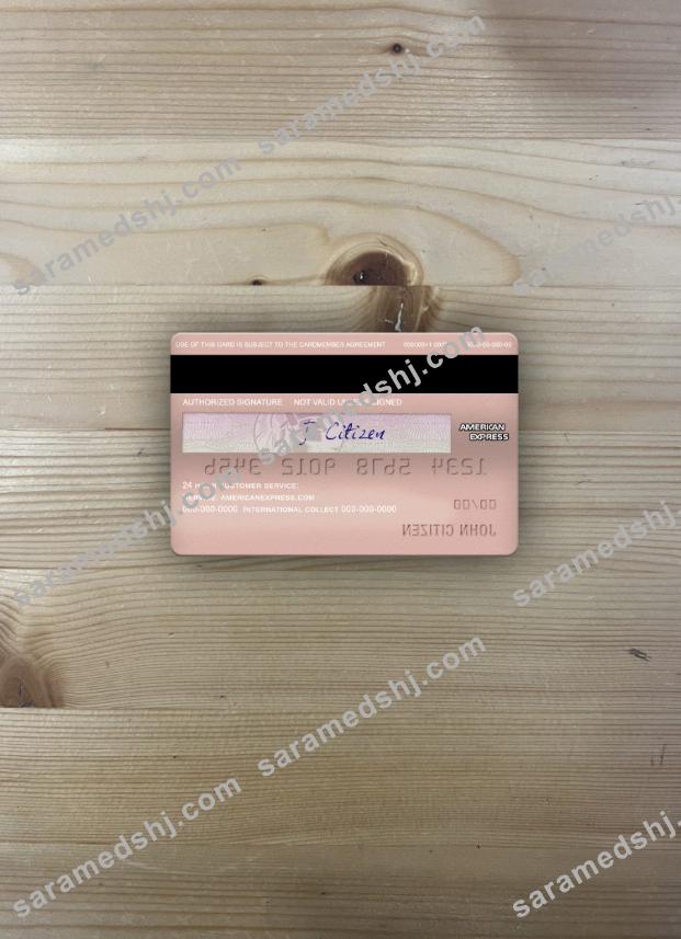 USA University of Southern Indiana bank AMEX rose gold metal card photolook back